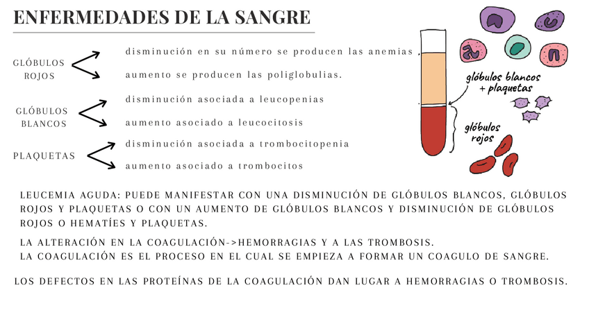 Miniatura del documento enfermedades-de-la-sangre.pdf