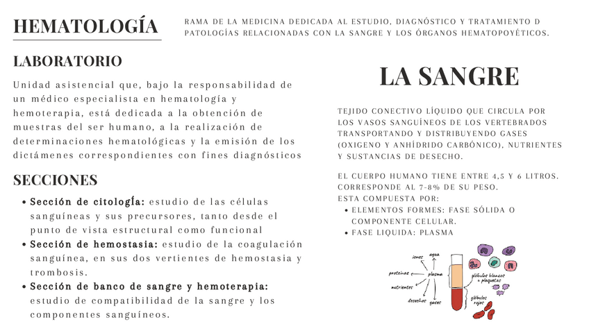 Miniatura del documento hematologia-pg7y14.pdf