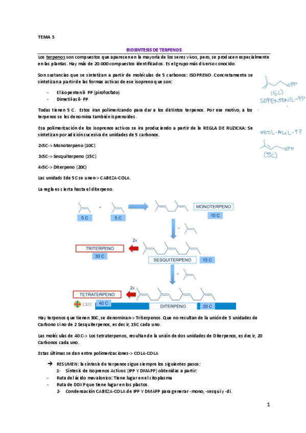 Miniatura del documento FARMACOGNOSIA-PARCIAL-2.pdf