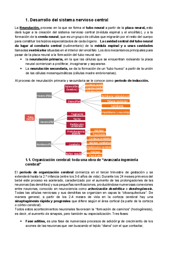 Miniatura del documento Tema-3-SNC.pdf