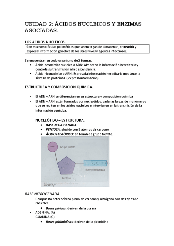 Miniatura del documento UNIDAD-2-acidos-nucleicos-y-enzimas-aosciadas-BM.pdf
