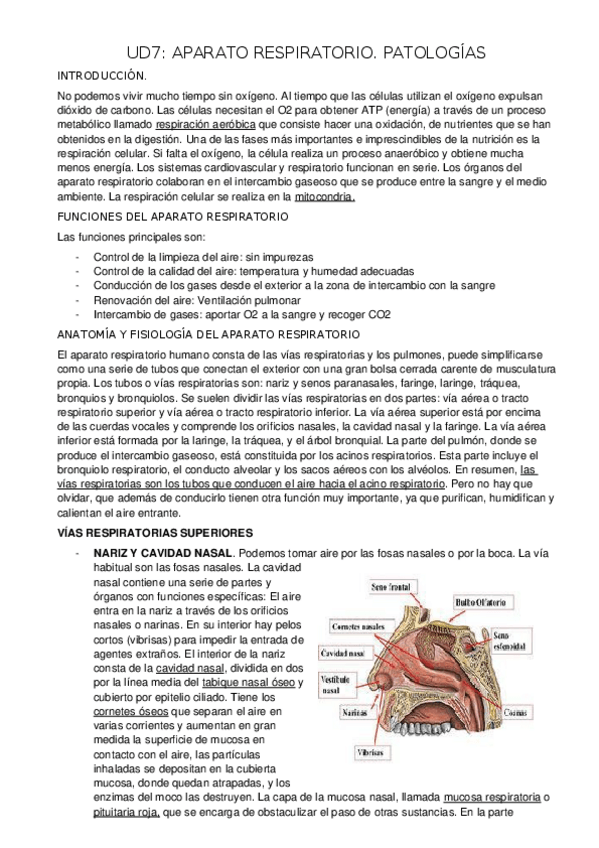 Miniatura del documento Unidad-7.docx