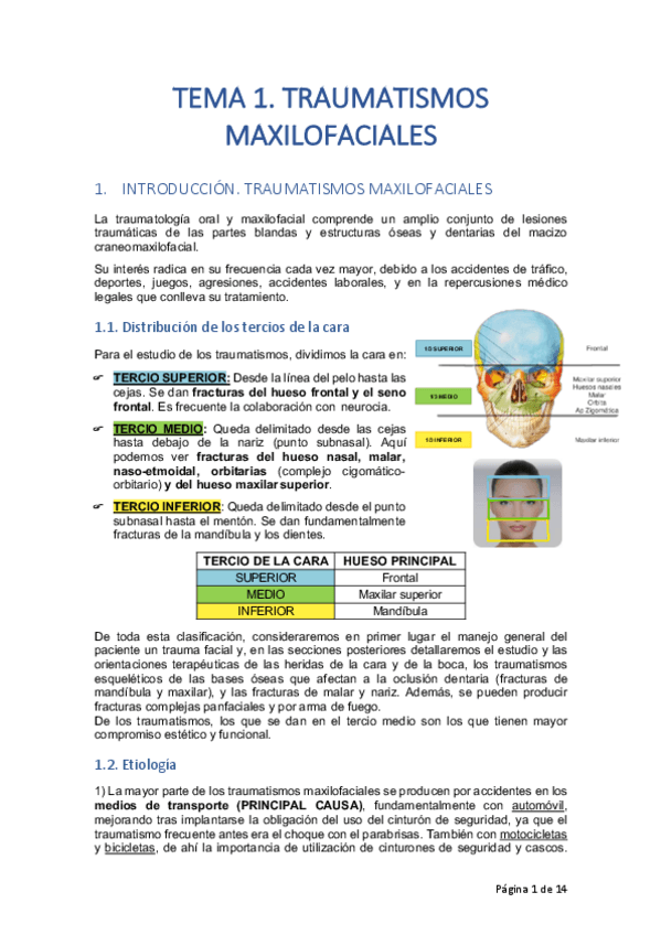 Miniatura del documento TEMA-1.pdf
