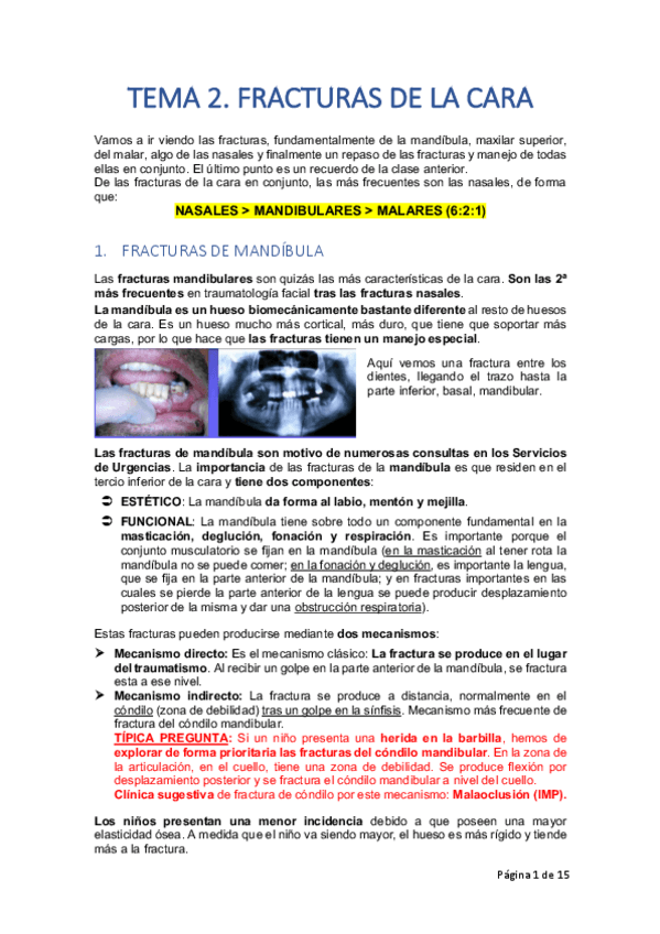 Miniatura del documento TEMA-2.pdf