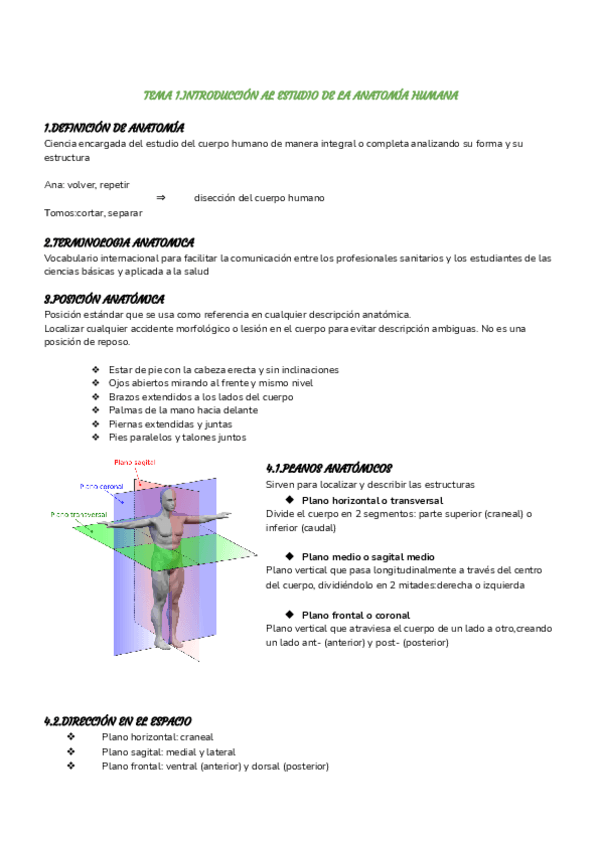 Miniatura del documento APUNTES-DE-ANATOMIA-E-HISTOLOGIA-1.pdf