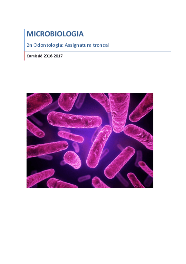 Miniatura del documento Comision-Micro-137-1.pdf