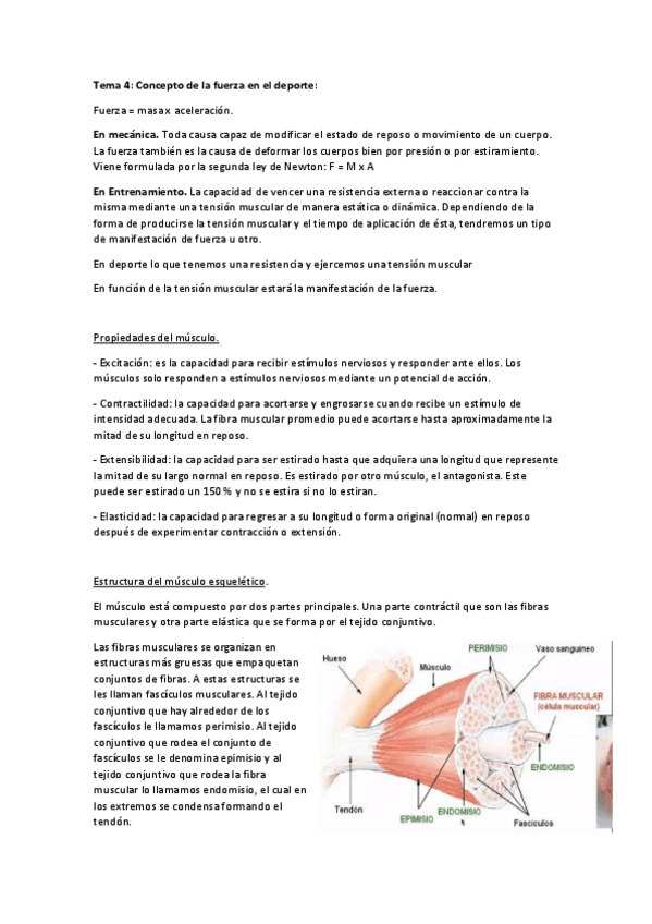 Miniatura del documento Fuerza.pdf