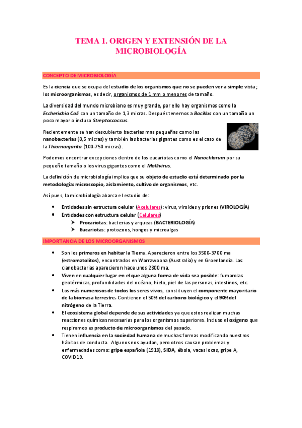 Miniatura del documento TEMAS-1-9-MICROBIOLOGIA.pdf