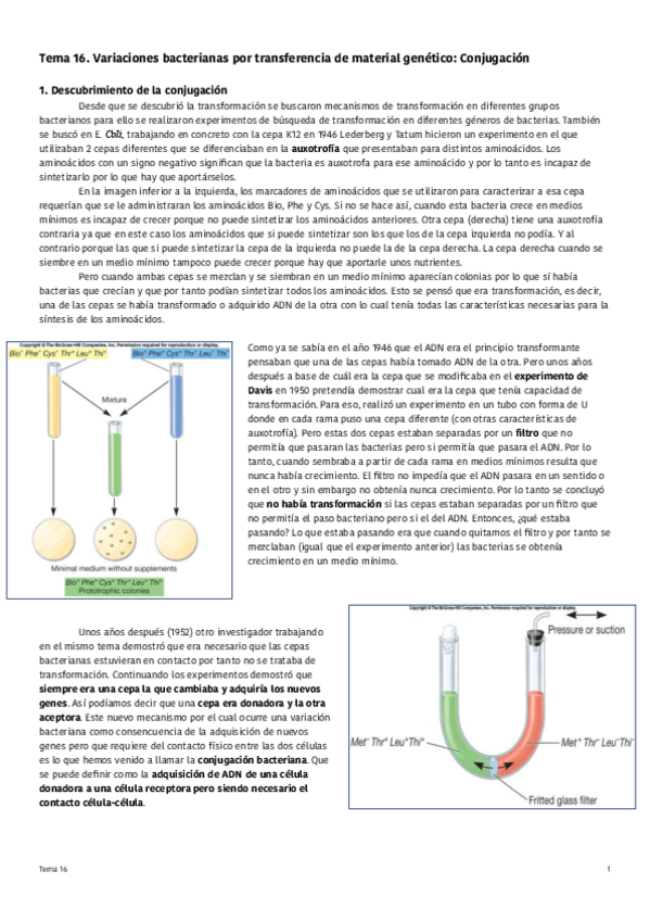 Miniatura del documento Tema-16-Conjugacion.pdf