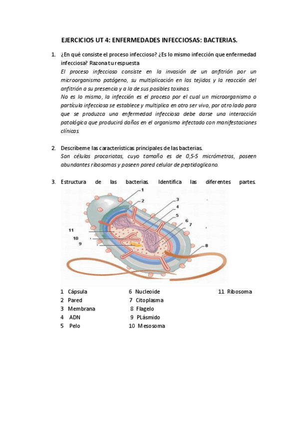 Miniatura del documento EJERCICIOS-BACTERIAS-DIAS-11-Y-12.pdf