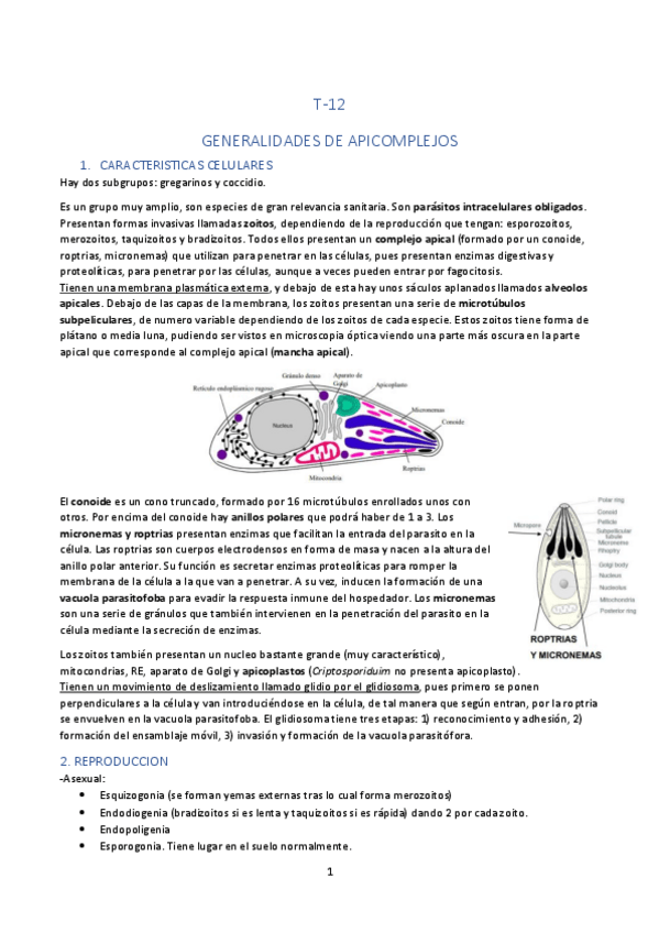 Miniatura del documento TEMA-12.pdf