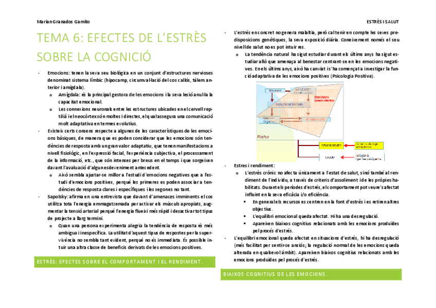 Miniatura del documento TEMA-6.pdf