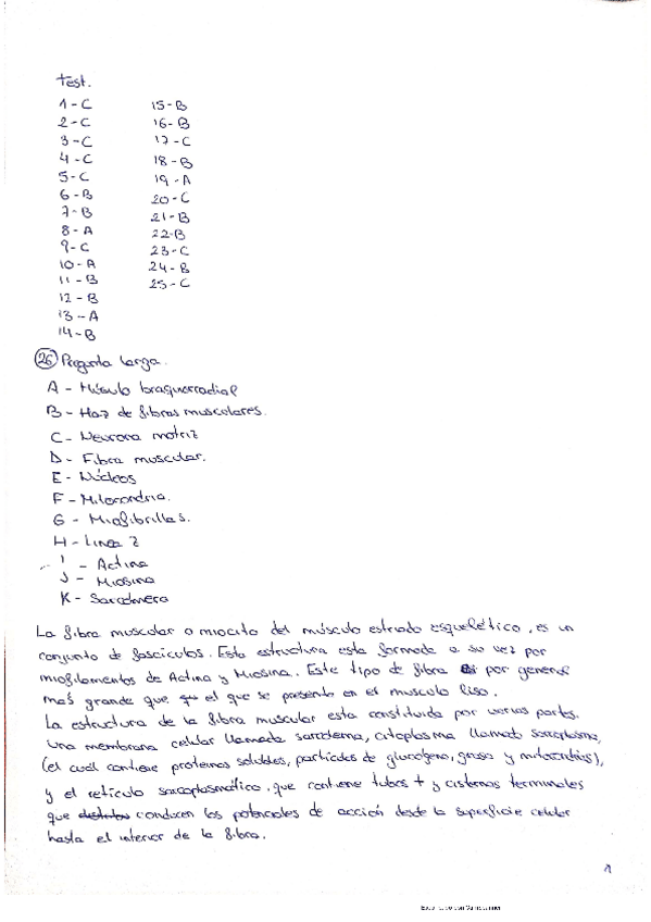 Miniatura del documento Respuestas-examen-11-30-20.pdf