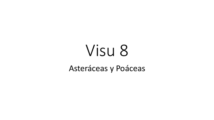 Miniatura del documento Visu-8.pdf
