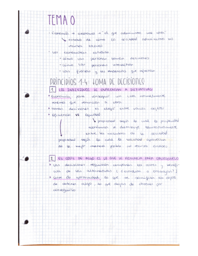 Miniatura del documento apuntes-microeconomia-con-ejs-al-final.pdf