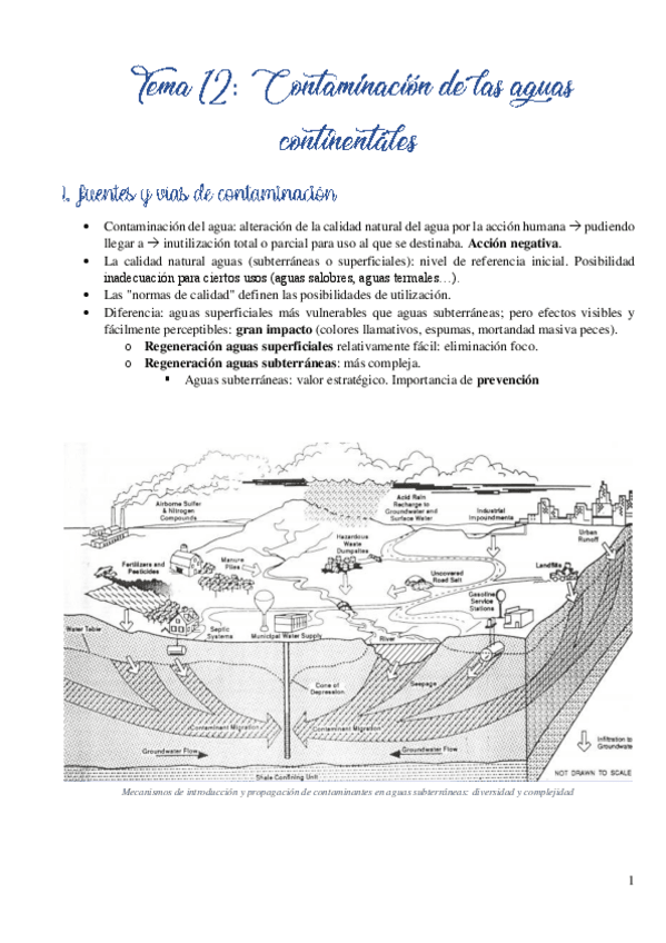 Miniatura del documento Tema-12.pdf