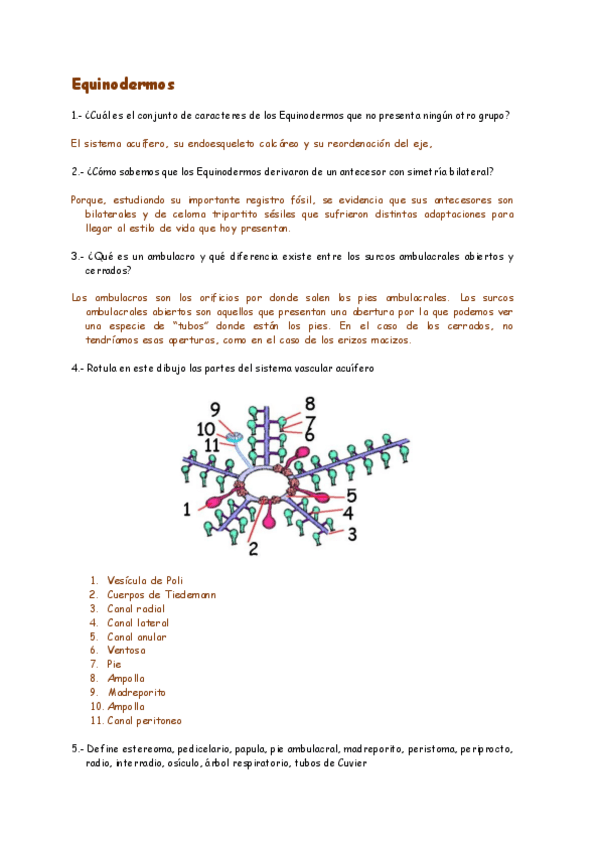 Miniatura del documento Equinodermos.pdf
