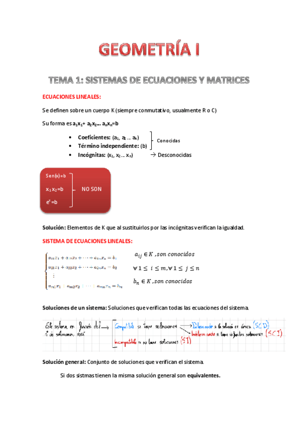 Miniatura del documento Tema-1-SEL-y-Matrices.pdf