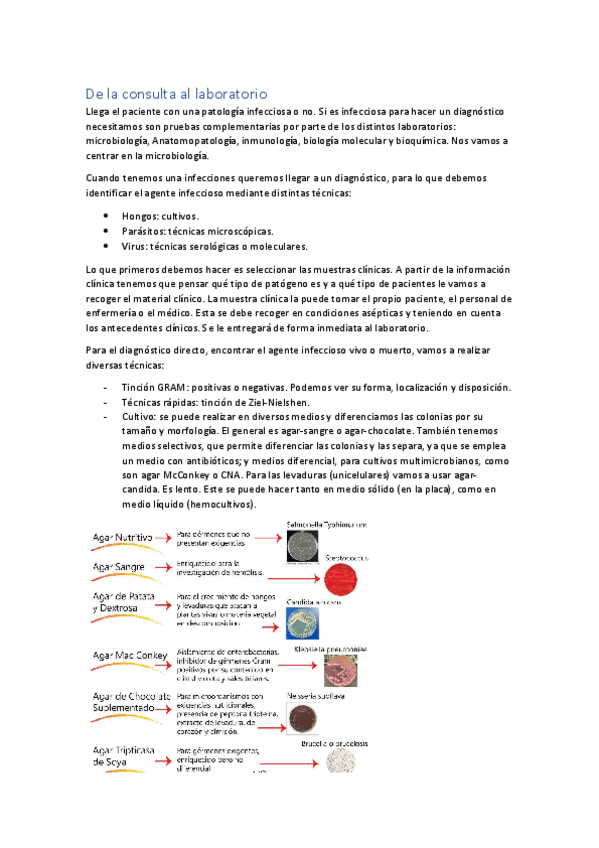 Miniatura del documento PRACTICAS-AULA-III.pdf