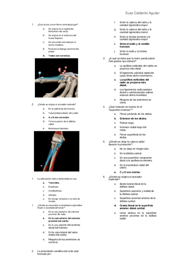 Miniatura del documento PREGUNTAS-MS-RAZONADAS-E-ILUSTRADAS.pdf