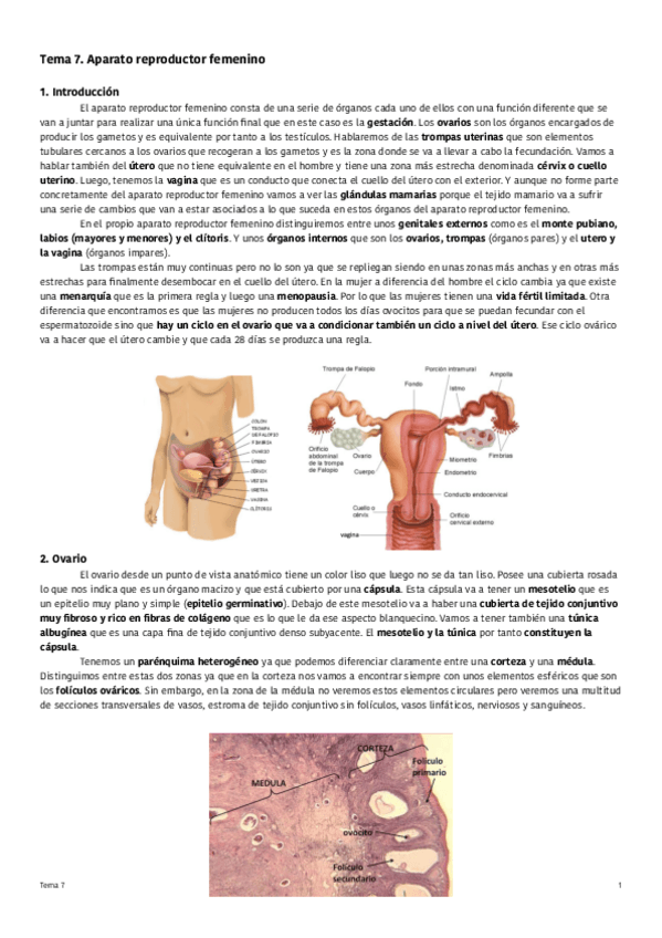 Miniatura del documento Tema-7-Ap.pdf