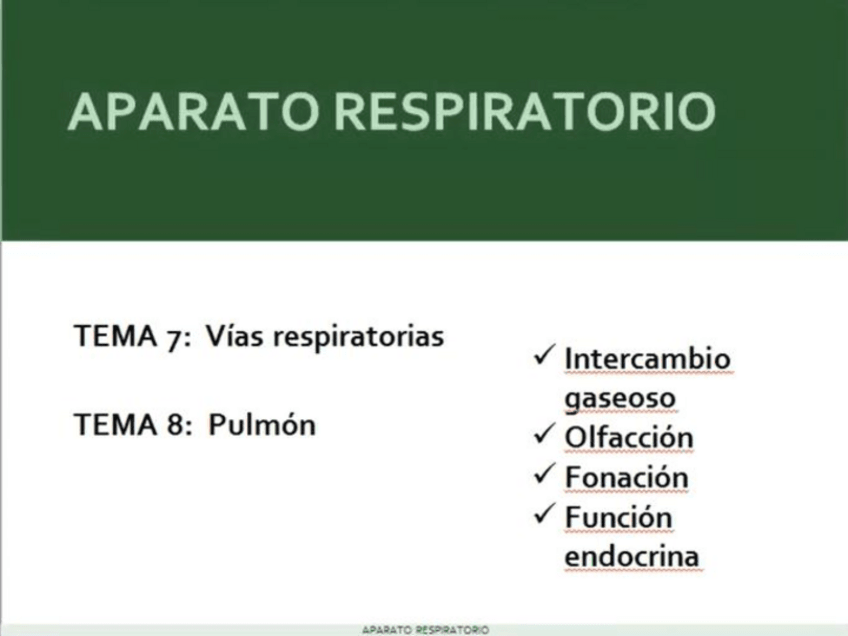 Miniatura del documento vias-respiratorias.pdf