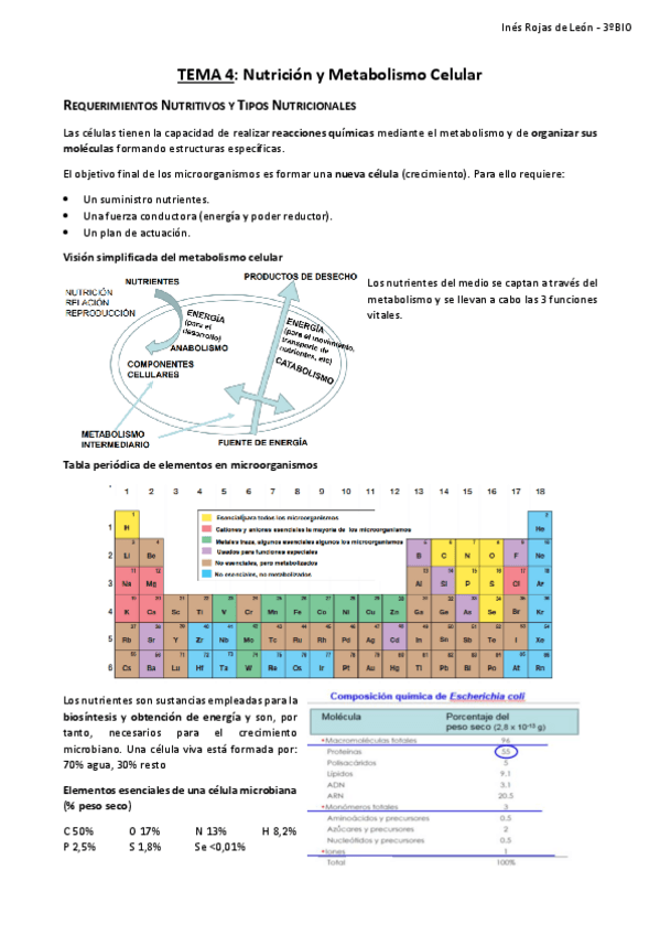 Miniatura del documento TEMA-4.pdf