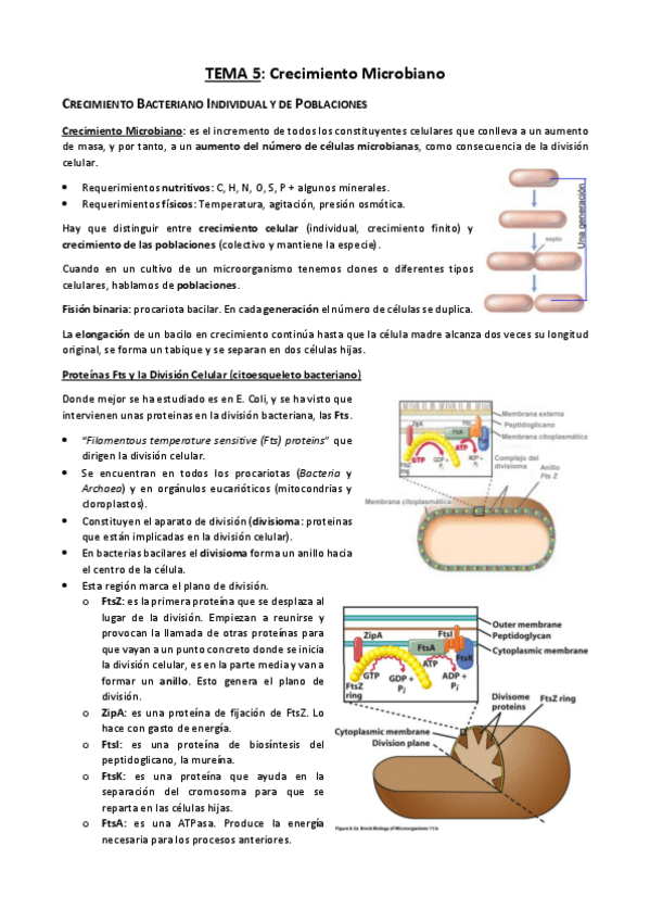 Miniatura del documento TEMA-5.pdf