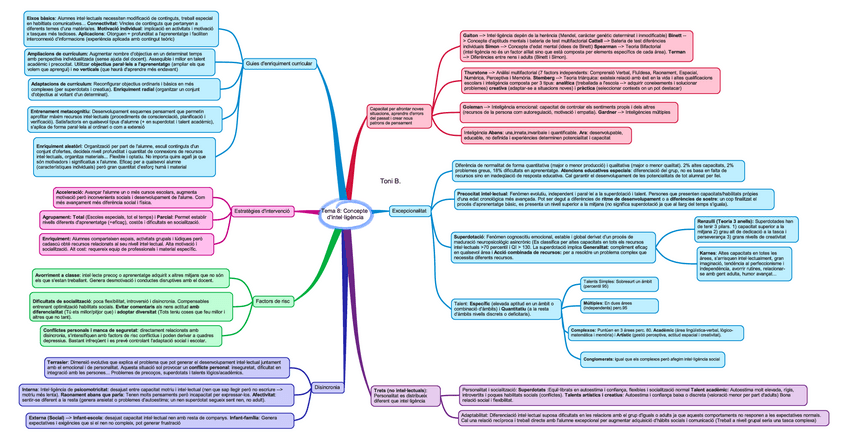 Miniatura del documento Tema-8-Concepte-dintelligencia.pdf