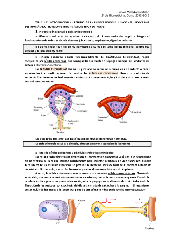 Miniatura del documento TEMA 1.01.pdf