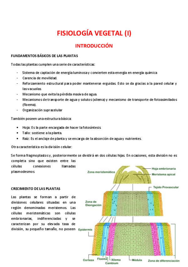 Miniatura del documento FISIOLOGiA-VEGETAL-1a-PARTE.pdf
