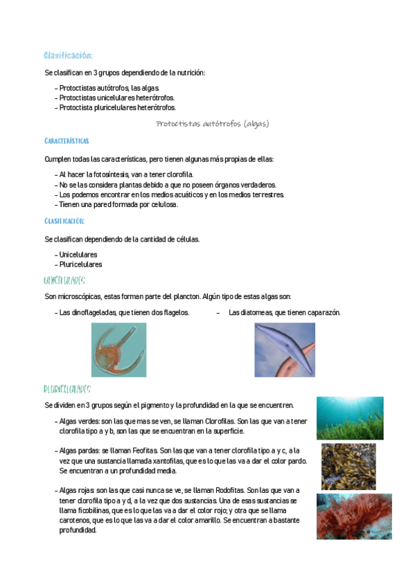Miniatura del documento BIOLOGIA2-13.pdf