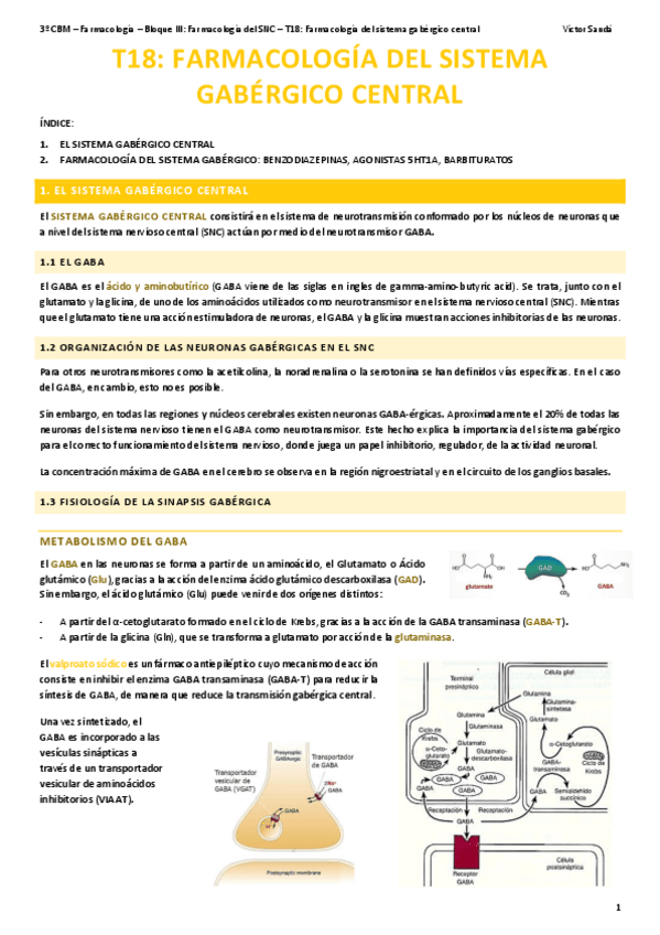 Miniatura del documento F-T18-Farmacologia-del-sistema-gabergico-central.pdf