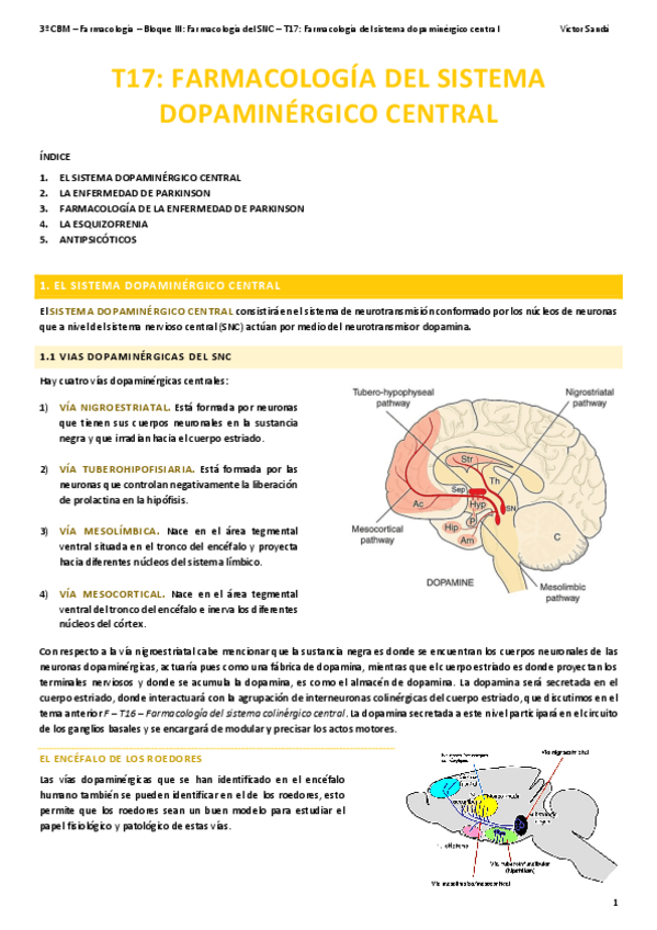 Miniatura del documento F-T17-Farmacologia-del-sistema-dopaminergico-central.pdf