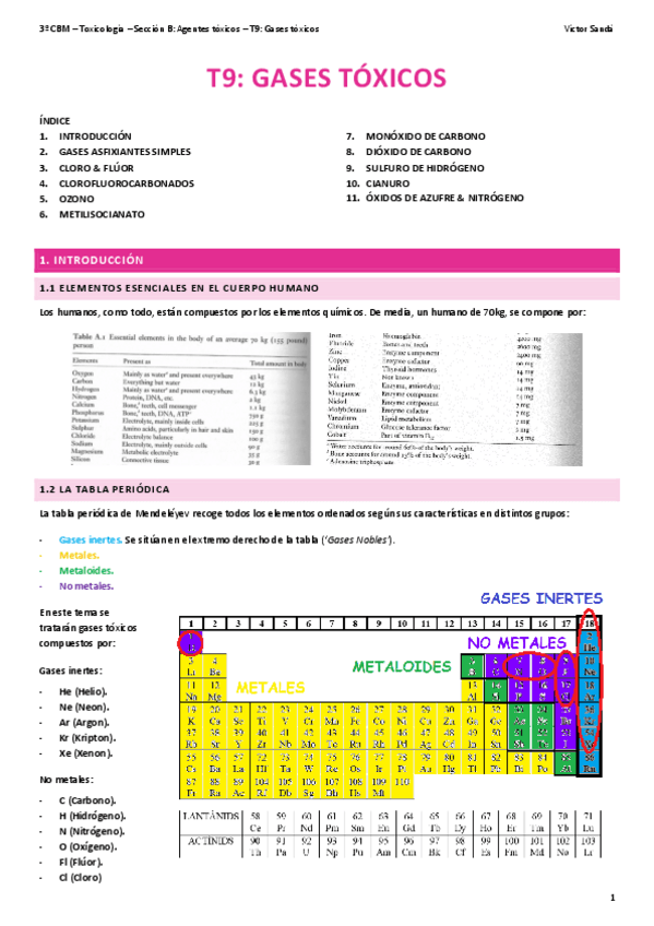 Miniatura del documento T-T9-Gases-toxicos.pdf