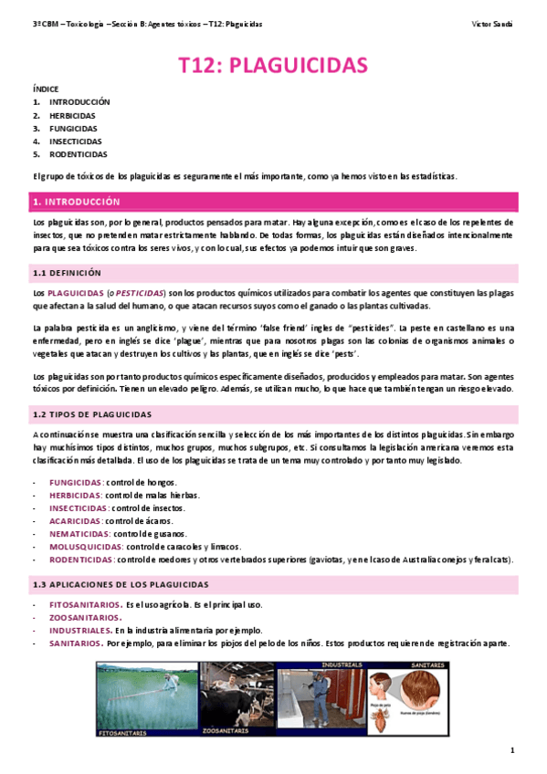 Miniatura del documento T-T12-Plaguicidas.pdf