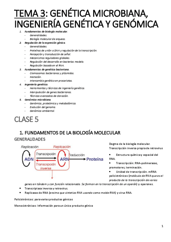 Miniatura del documento tema-3-micro.pdf
