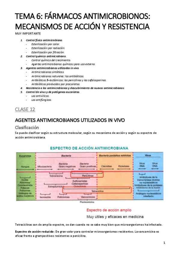 Miniatura del documento tema-6-clase-12-y-13.pdf
