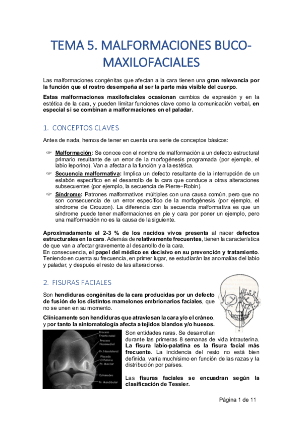 Miniatura del documento TEMA-5.pdf