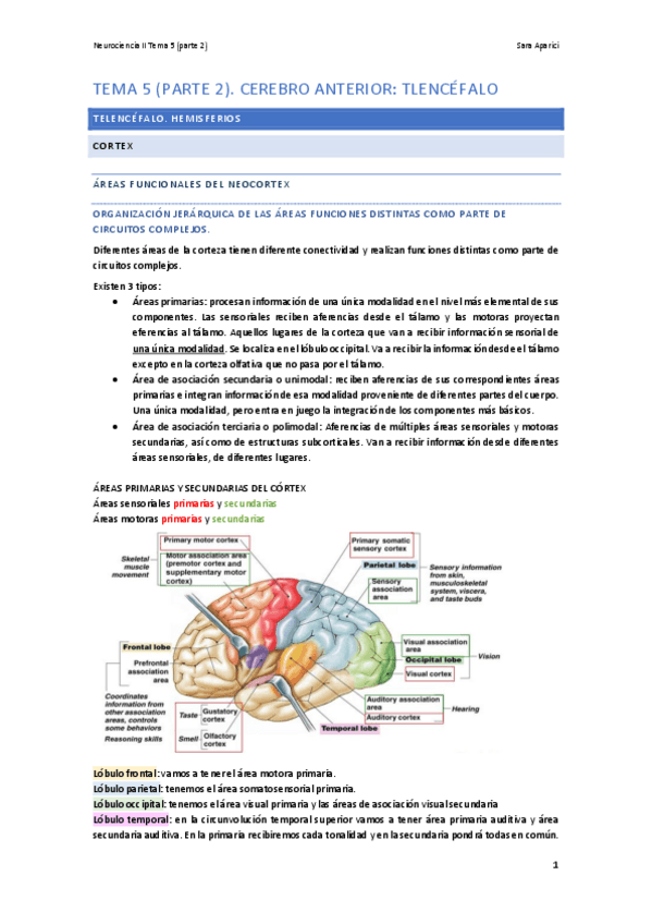 Miniatura del documento TEMA-5-parte-2.pdf