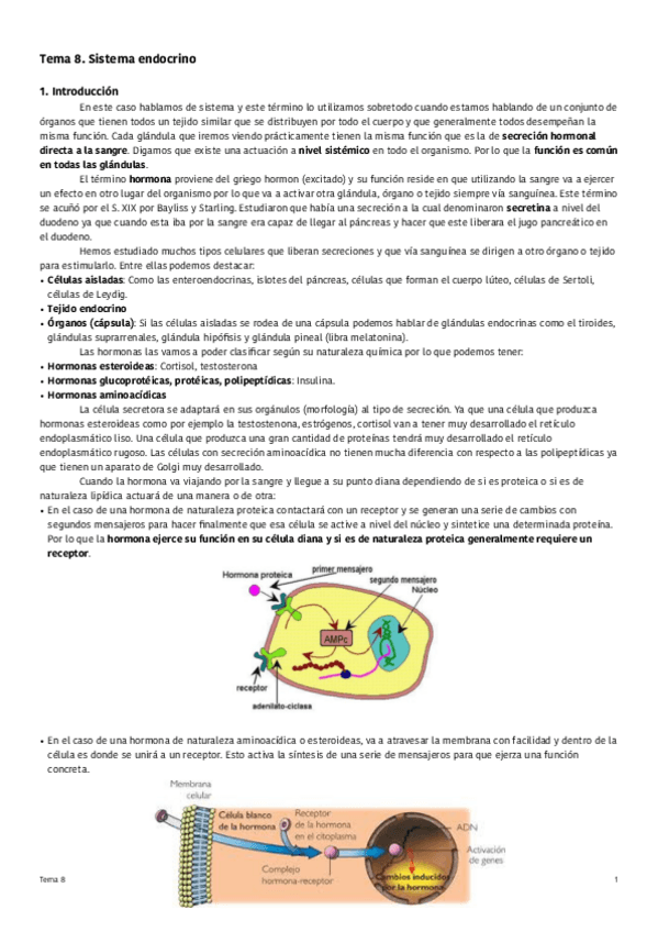 Miniatura del documento Tema-8-Sistema-endocrino.pdf