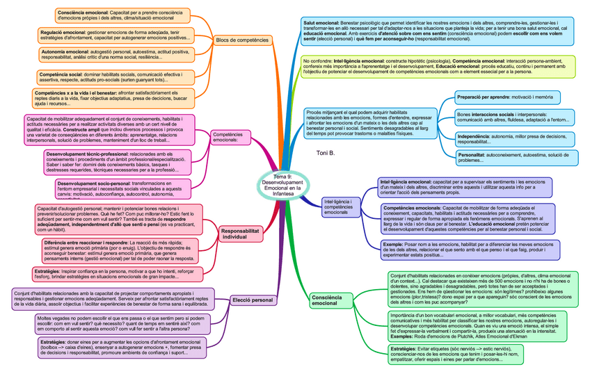 Miniatura del documento Tema-9-Desenvolupament-Emocional-en-la-Infantesa.pdf