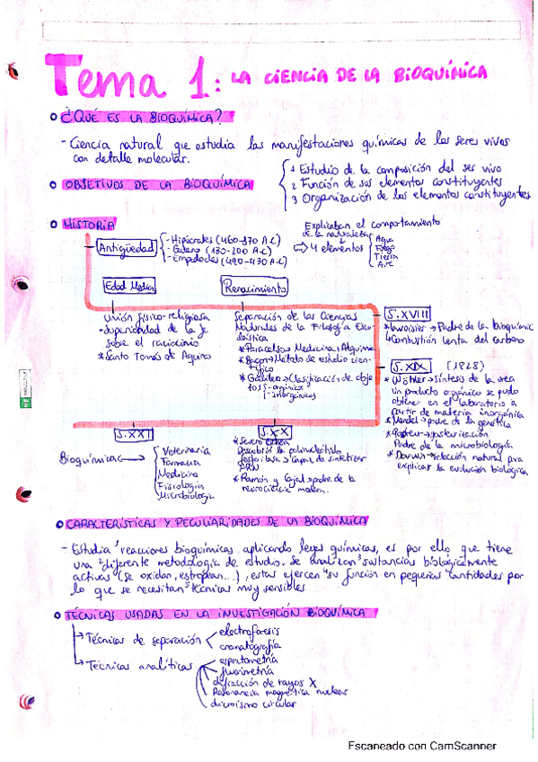 Miniatura del documento CamScanner-01-16-2021-13.pdf