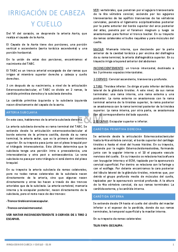 Miniatura del documento Irrigacion-de-Cabeza-y-cuello-EM.pdf