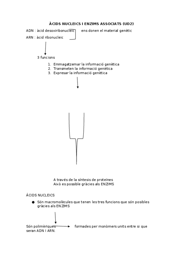Miniatura del documento ACIDS-NUCLEICS-I-ENZIMS-ASSOCIATS-1.docx