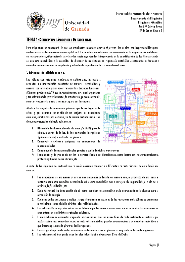 Miniatura del documento TEMA 1.pdf