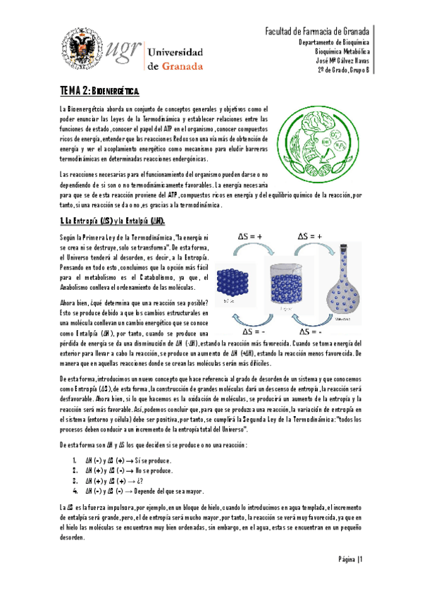 Miniatura del documento TEMA 2.pdf