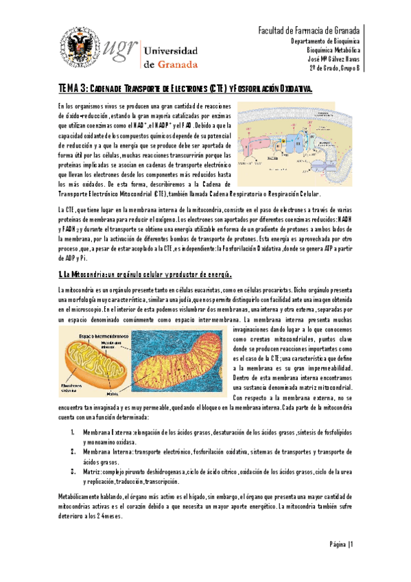 Miniatura del documento TEMA 3.pdf