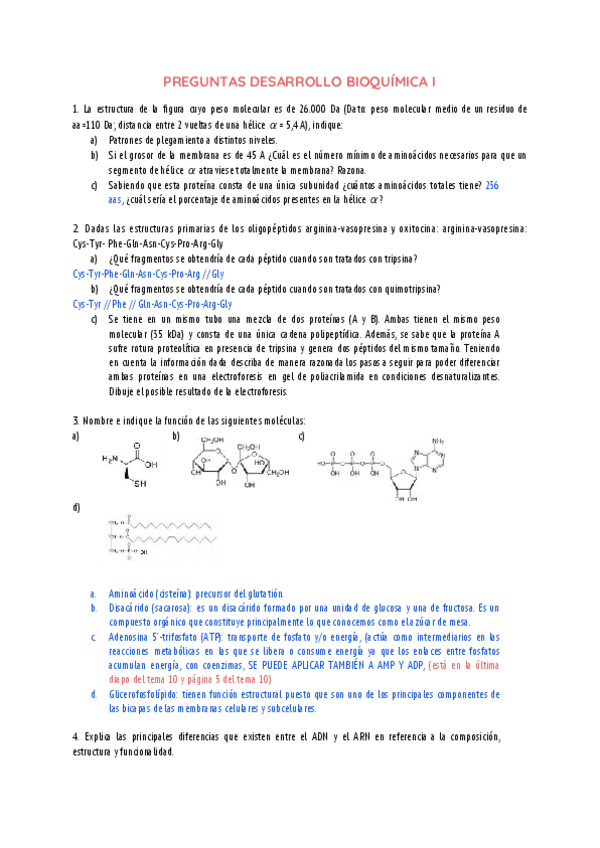Miniatura del documento PREGUNTAS-DESARROLLO-BQI.pdf