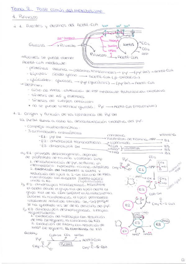 Miniatura del documento tema-2.pdf